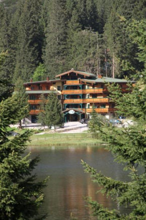Отель Alpen Appartements, Пальфен